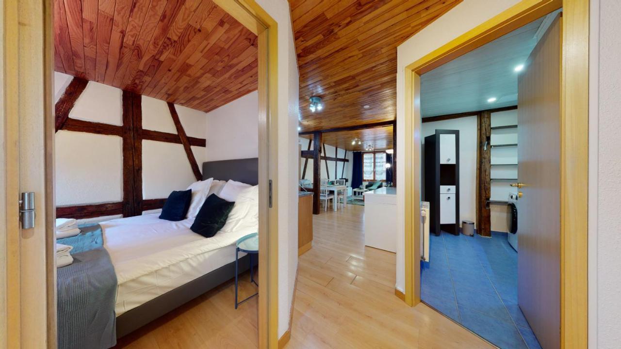 Le Petit Thierenbach Apartment Colmar Exterior foto